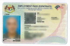 sample employment pass ikad by mishu expatriate application services