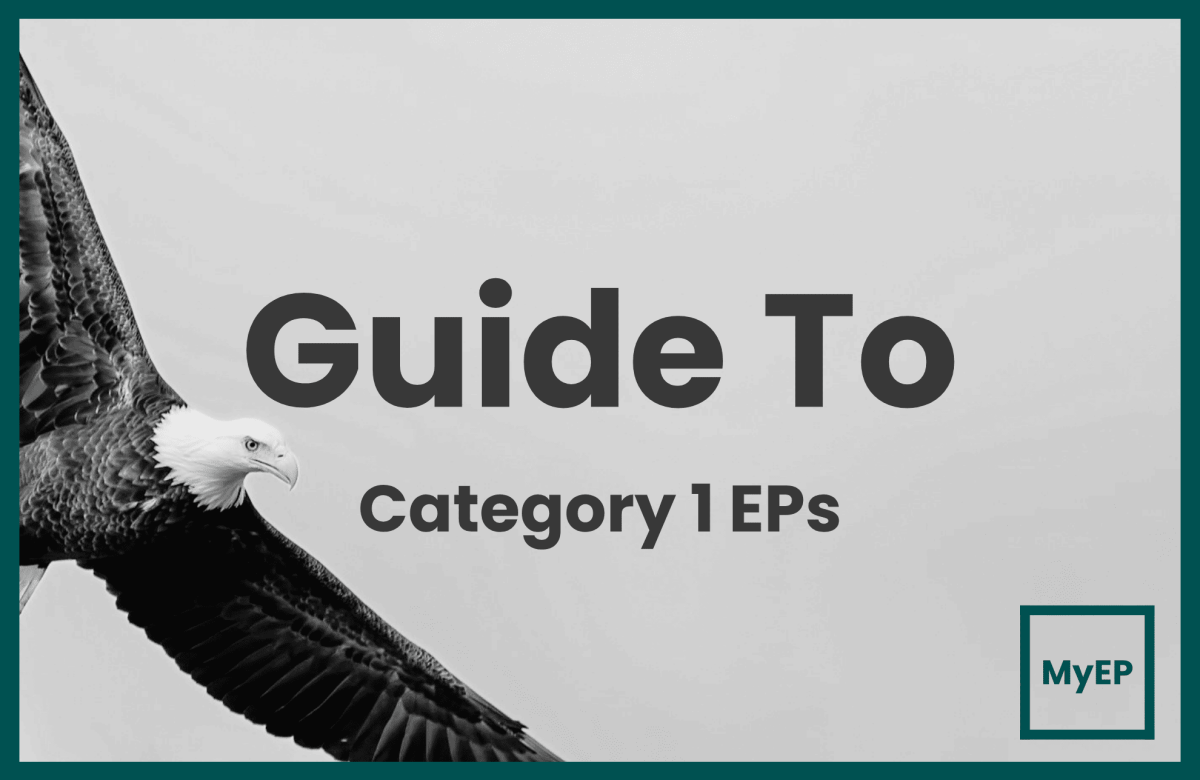 A Full Guide To Category 1 Employment Pass Applications