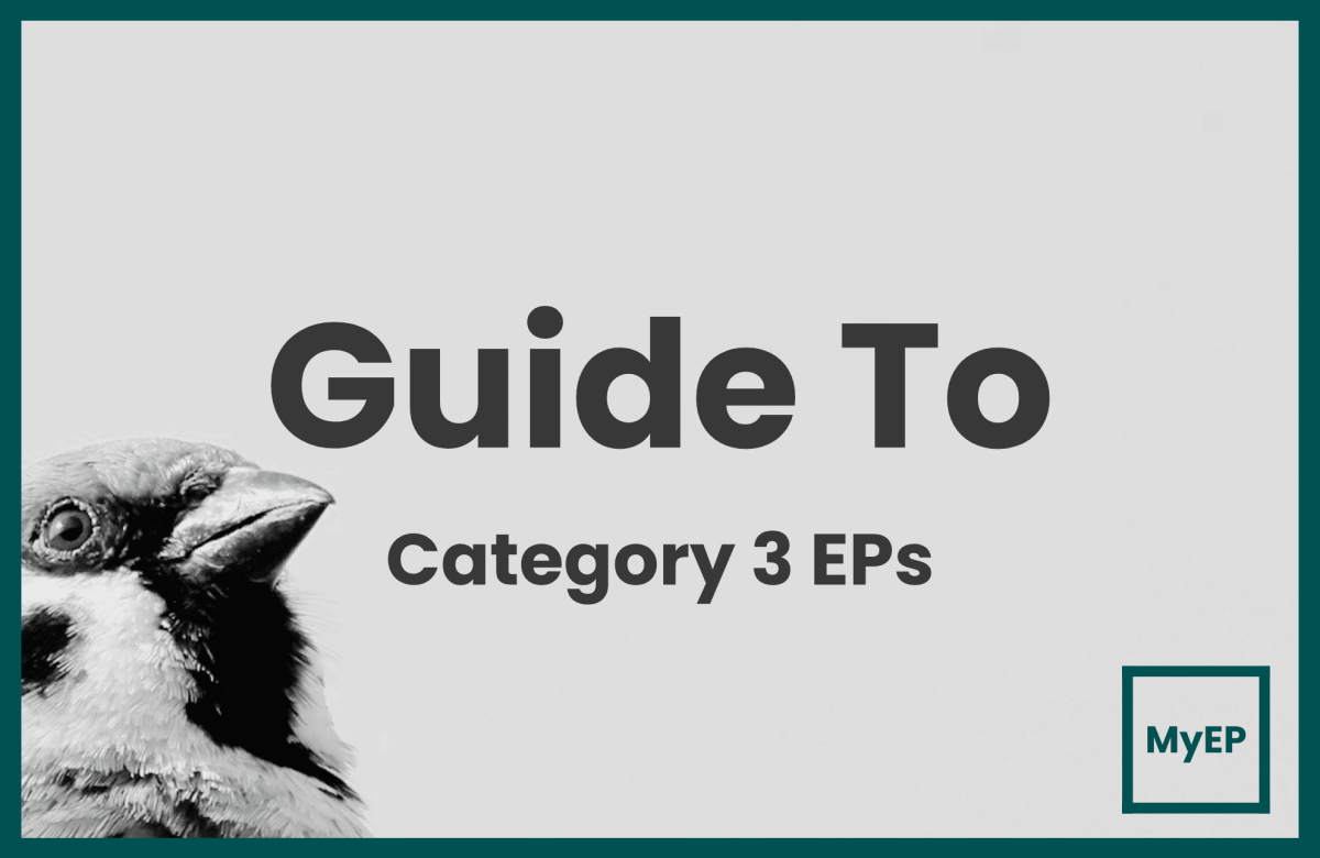 A Full Guide To Category 3 Employment Pass Applications