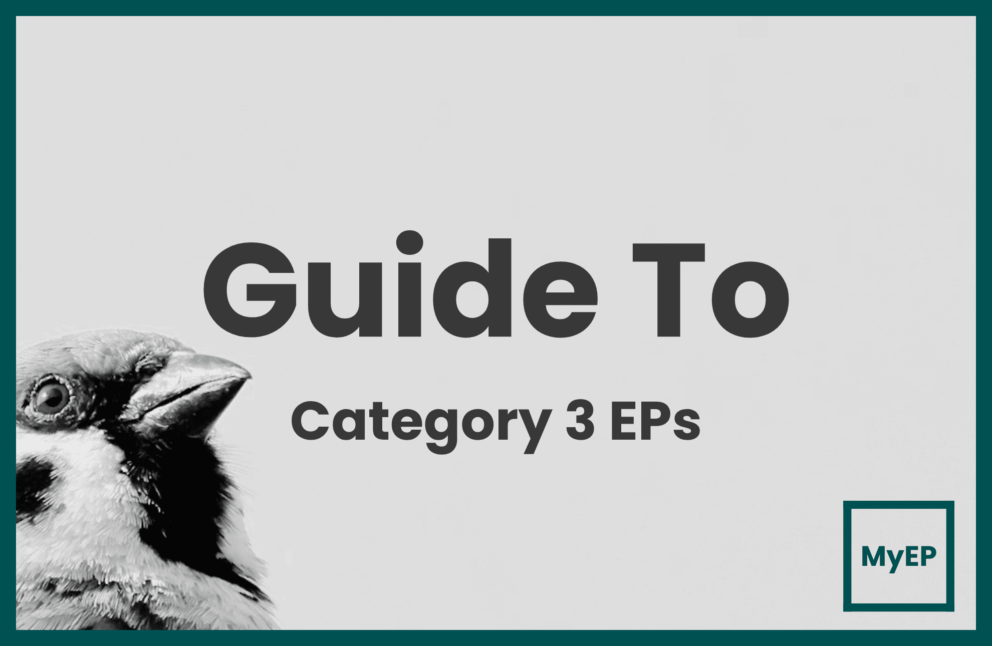 A Full Guide To Category 3 Employment Pass Applications