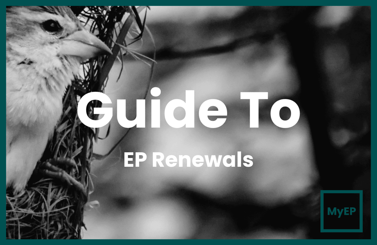 A Full Guide To Malaysian Employment Pass Renewals