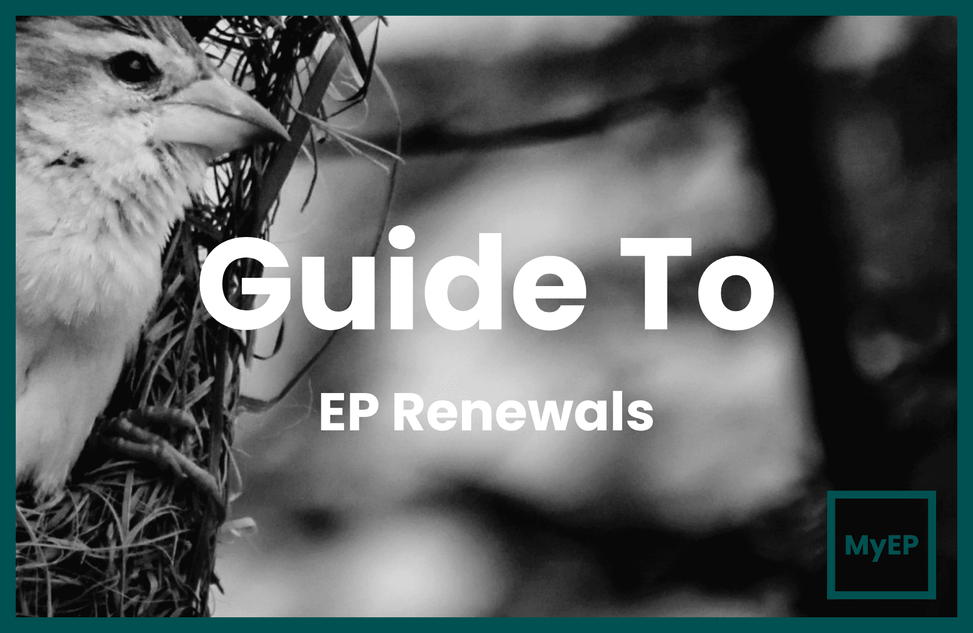 A Full Guide To Malaysian Employment Pass Renewals