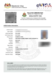 Single entry visa for employment pass endorsement