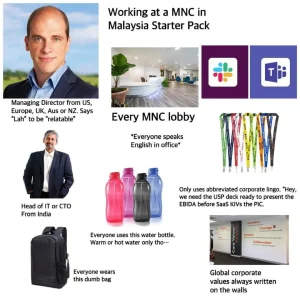 humorous example of category 1 employment pass candidate in malaysia