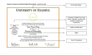 sample of certified true copy accademic certificate for employment pass application