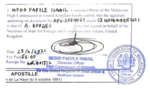 sample of certified true copy for employment pass application