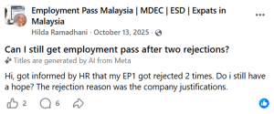 screenshot of expatriate asking why their employment pass application was rejected