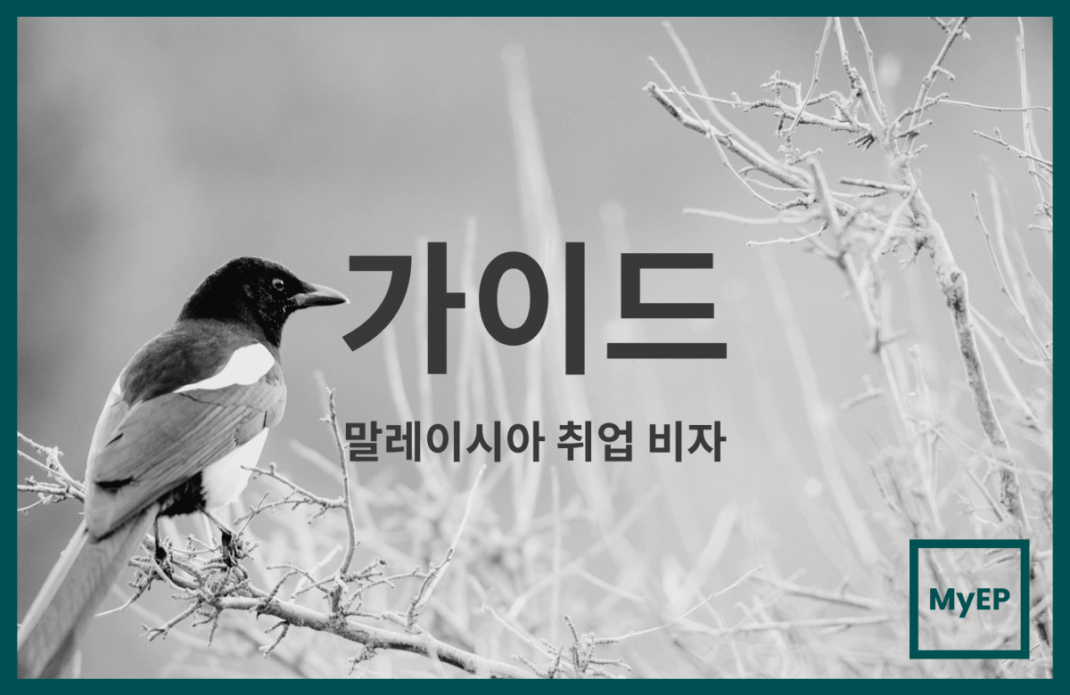 말레이시아 Employment Pass 요건 및 신청 절차 가이드