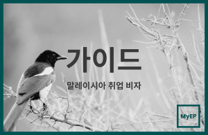 말레이시아 Employment Pass 요건 및 신청 절차 가이드