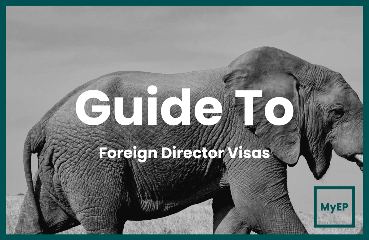 A Guide To Malaysian Foreign Director Visa Applications