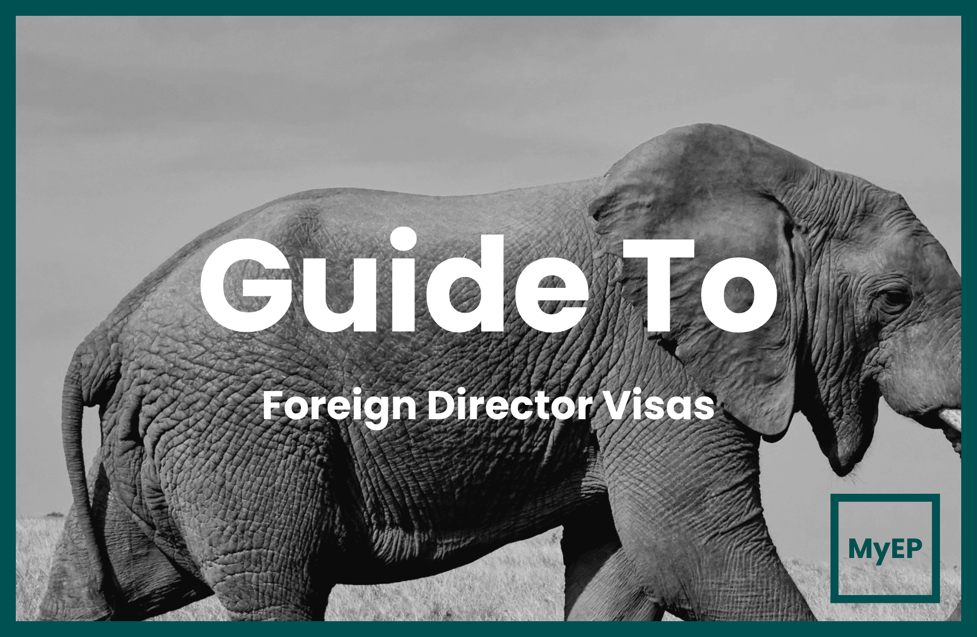 A Guide To Malaysian Foreign Director Visa Applications